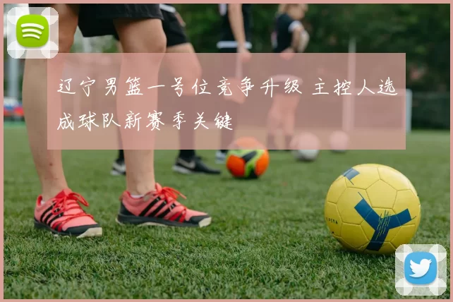 辽宁男篮一号位竞争升级 主控人选成球队新赛季关键