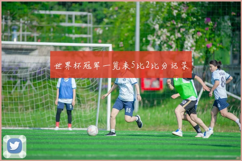 世界杯冠军一览表5比2比分记录