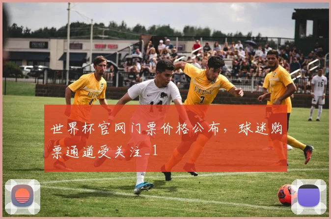 世界杯官网门票价格公布，球迷购票通道受关注_1