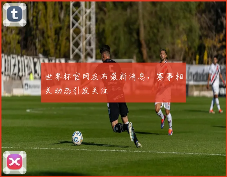 世界杯官网发布最新消息，赛事相关动态引发关注